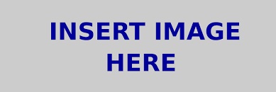 ftc logo
